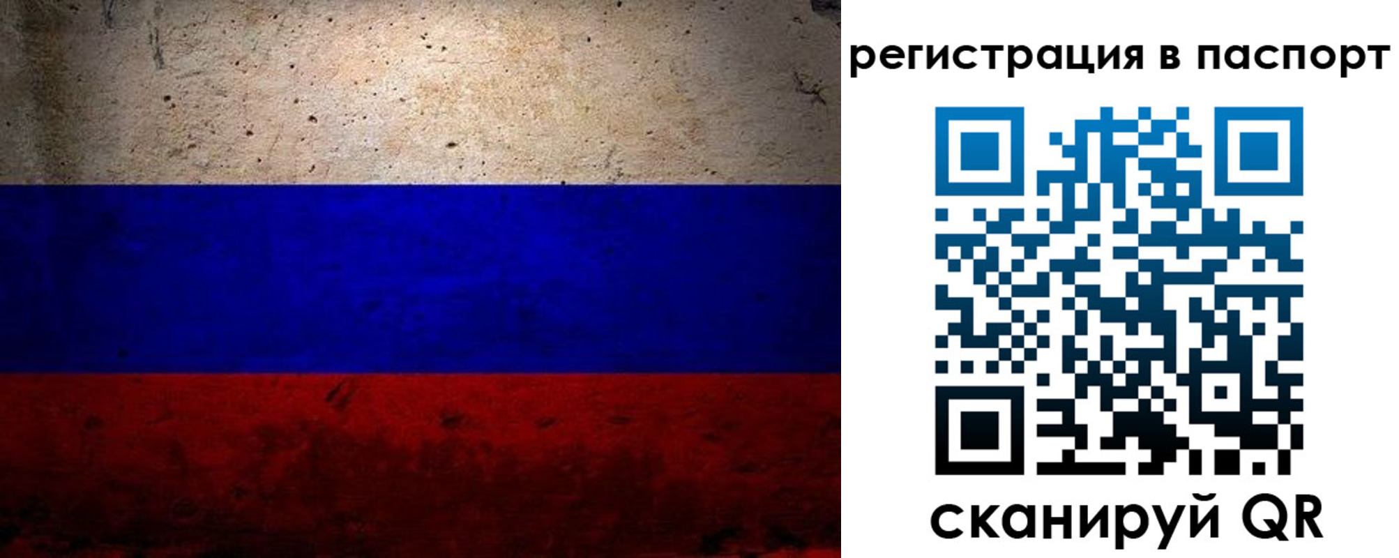 купить прописку в Мурманской области