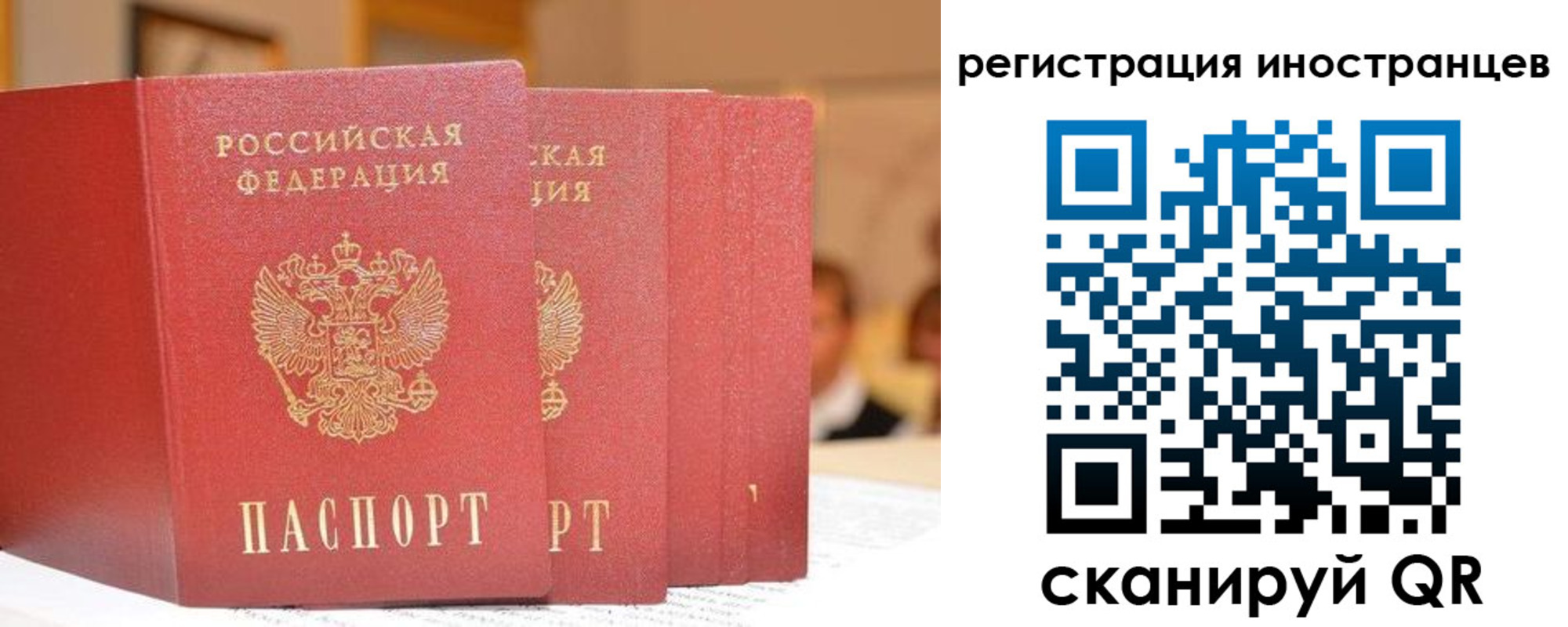 где прописаться в Мурманской области